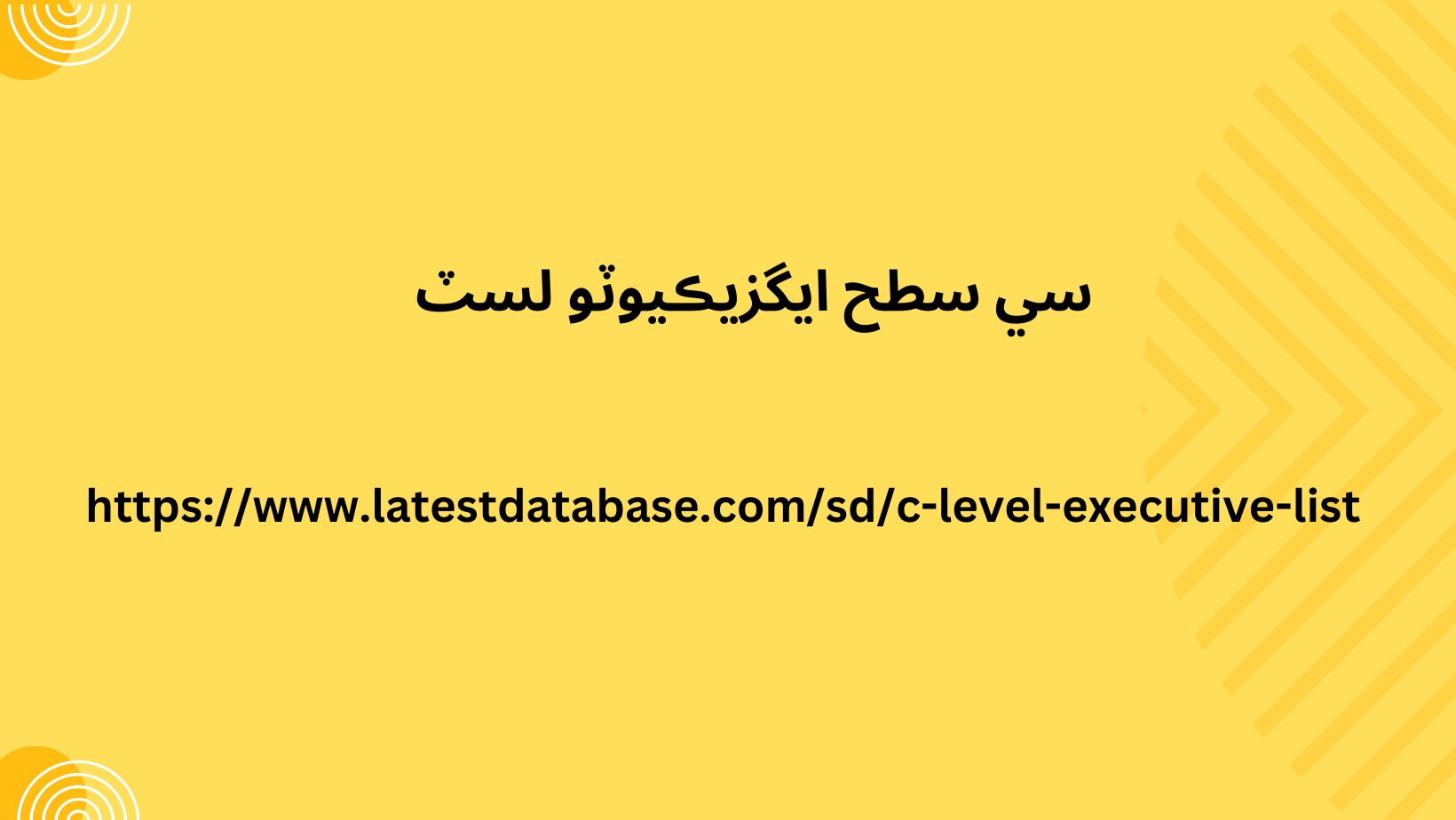 سي سطح ايگزيڪيوٽو لسٽ 07