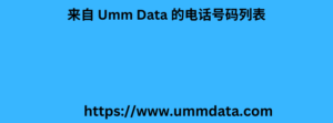 来自 Umm Data 的电话号码列表